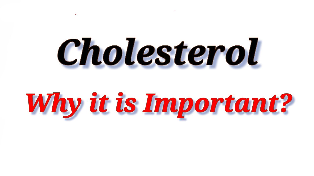 good and bad Cholesterol